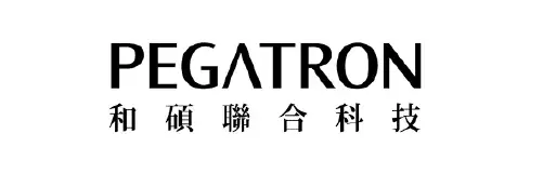 logo OEM Manufacturing and CM PT elang dwi mitra-02-01